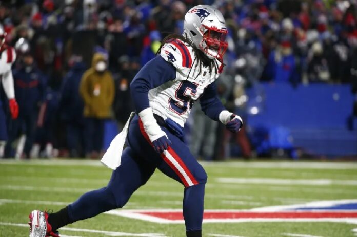 Dont'a Hightower would be frightening in Green Bay