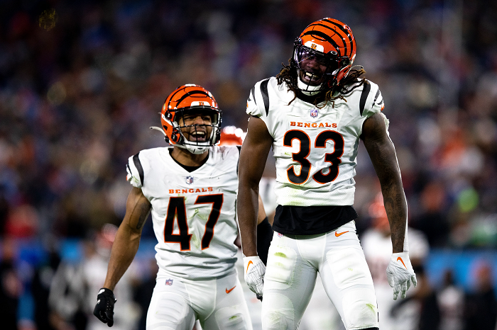 Two former Bengals reunite where they're sorely needed